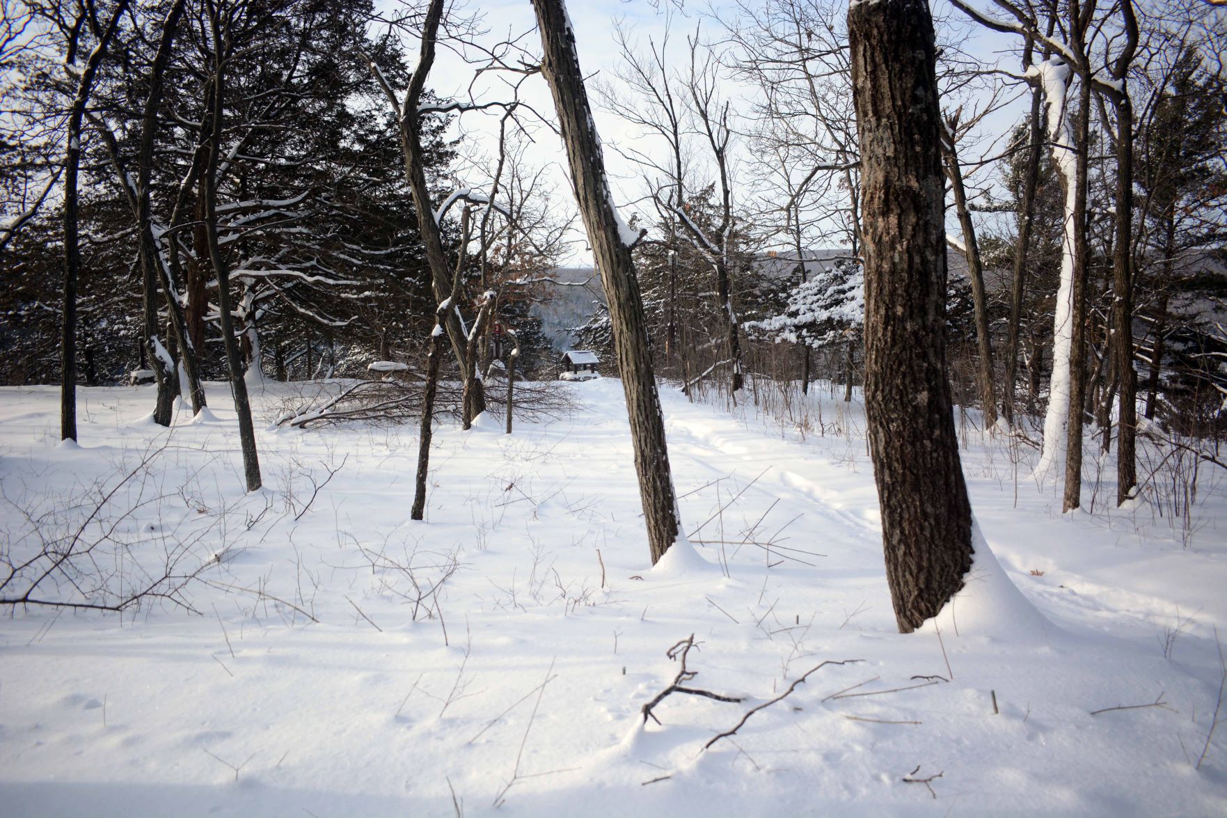 Devil's Lake east bluff stewardship work